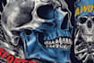 create a skull, skeleton or grim reaper illustration