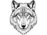 draw your wolf character
