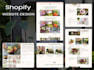 build shopify ecommerce website, store design and redesign, shopify dropshipping