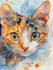 draw an awesome pet or animal