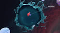 create a high 3d medical pharmaceutical moa and biotech and animation video