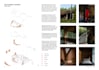 create professional architectural presentation, diagrams and sheets