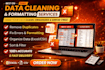 clean, organize and optimize your excel or CSV data professionally