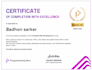 develop responsive ecommerce website with payment integration