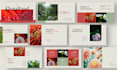 design presentation, redesign pitch deck, powerpoint, canva, google slides