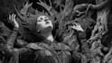 draw horror and dark fantasy illustrations