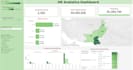 create professional dashboards and data visualization