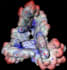 perform dft calculations and transition state analysis