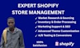 be your shopify virtual assistant