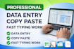 do professional data entry, copy paste, web research, and excel data entry