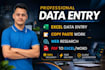 do data entry, copy paste, web research and excel data entry