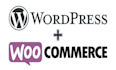 build, design, redesign wordpress website, custom wordpress website development