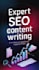 professional SEO content writer, website articles