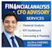 provide cfo level strategic financial analysis for business growth as a US CPA