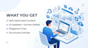write SEO optimized blog posts and articles using ai tools