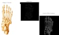 perform image processing and edge detection using python and opencv