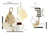 design bags and accessories