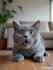 generate images in ai