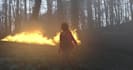 do professional vfx compositing, cleanup and cg integration