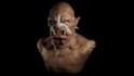 provide professional 3d sculpting, retopology, and texturing