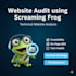 a screaming frog technical SEO audit for your website