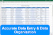 do accurate excel data entry, data cleaning and web research