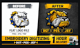 do embroidery digitizing logo into dst pes jef emb file