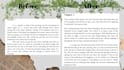 developmentally edit, proofread and line edit your manuscript