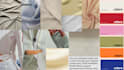 create a professional fashion mood board creative direction