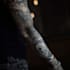 draw an awesome tattoo sleeve art
