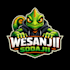 do a professional cartoon mascot logo