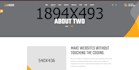 design and develop a professional website and blog