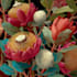 draw best botanical illustration