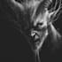 draw dark art and monsters