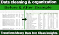 clean, organize and prepare your data in excel for analysis