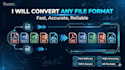 do fast and accurate file conversion