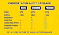 perform a google ads audit and PPC optimization