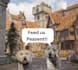 edit your photos for fun