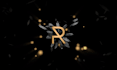 animate your logo in motion graphics