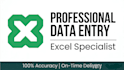 provide you with data processing services