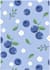 design apparel print patterns and garment tech packs