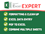 clean, format, merge, split excel data