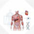 do medical and scientific illustrations