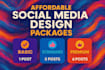 professional social media graphics