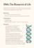 create aesthetic and well organized digital study notes