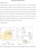 write qualitative research, reviews and academic  papers
