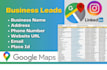 scrape google maps business data