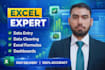 do excel data entry, data cleaning, excel formulas, and dashboard creation