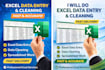 do professional microsoft excel data entry and data analysis