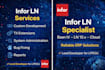 develop and customize infor ln erp solutions